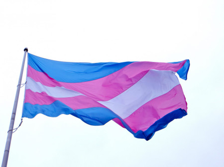 Bandera transfòbia