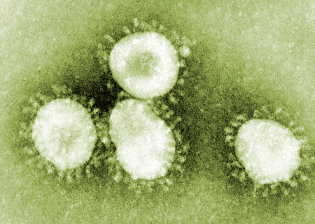 Coronavirus