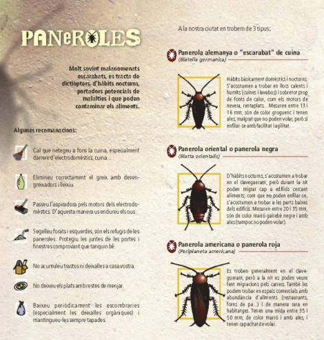 Info paneroles