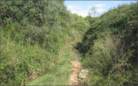 Torrent del Cementiri, objecte de tasques de manteniment