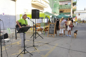 Fira Comerç al carrer juliol 2013 2