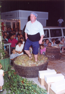 Trepitjada Josep Cuscó 1993