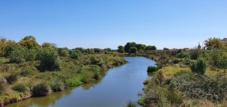 Espai natural desembocadura del riu Foix