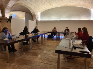 Consell alcaldies desembre 2020 (2)