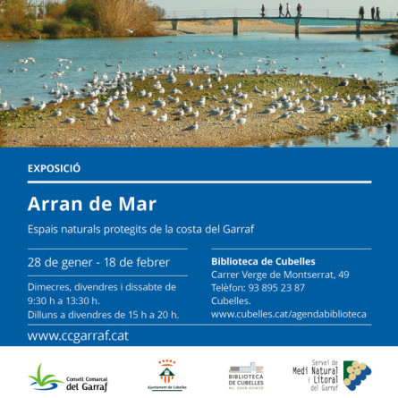 Arran de Mar