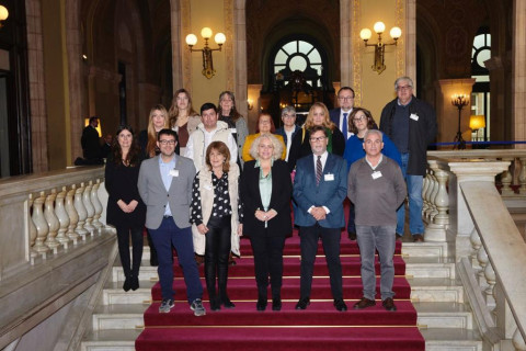 Esmena al Parlament C32