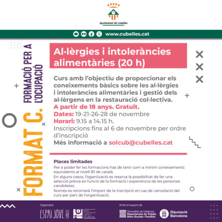 Format C 2024 - Al·lèrgies i intoleràncies alimentàries