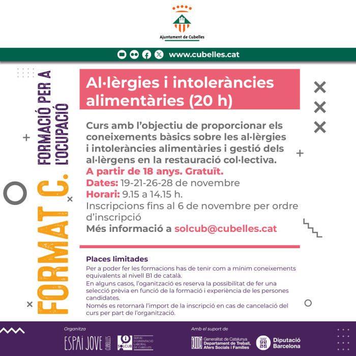 Format C 2024 - Al·lèrgies i intoleràncies alimentàries