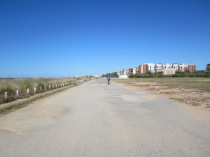 Accessibilitat platja les salines