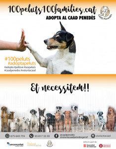 Campanya adopció CAAD