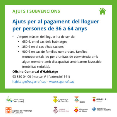 ajuts lloguer majors 36-2.jpg