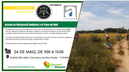 Arba_activitat_24 de maig.jpg
