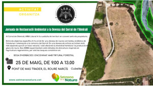 Arba_activitat_25 de maig.jpg