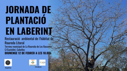 Arba Litoral 12 febrer