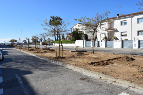 Arbrat av. Prat i Les Salines_2.JPG