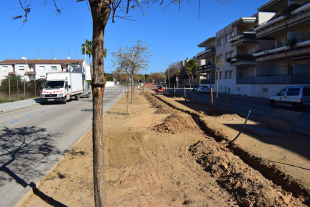 Arbrat av. Prat i Les Salines_3.JPG