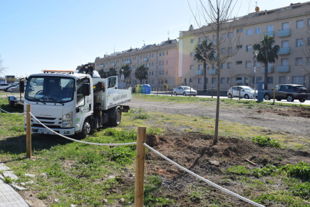 Arbrat av. Prat i Les Salines_4.JPG