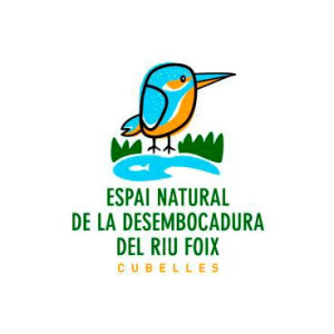 Logotip del blauet riu Foix