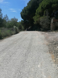 Camí Mas Peirot