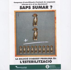 Campanya esterilitzacioweb