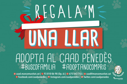 CampanyaCAAD.jpg