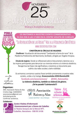 cartell 25n la revolución de las rosas