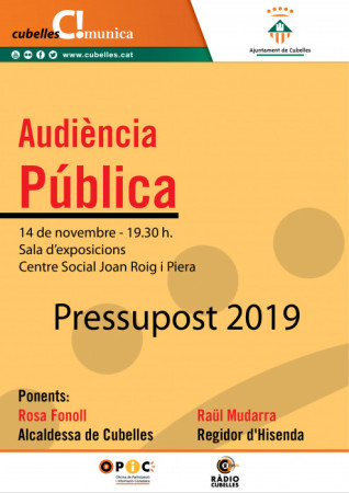 cartell audiència pública 2019