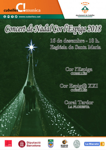 Concert de Nadal 2018