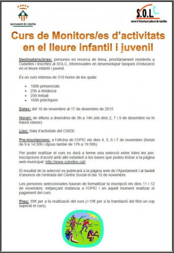 Cartell curs monitor lleure