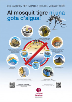 Cartell mosquit tigre DIBA