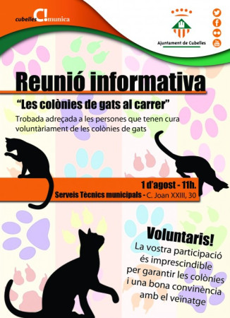 Cartell Reunió voluntaris gats 2014