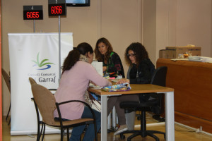 Consell Comarcal Garraf
