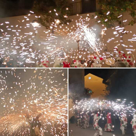 Exposició 20anys Colles Foc
