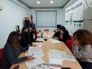 Comissió seguiment habitatge