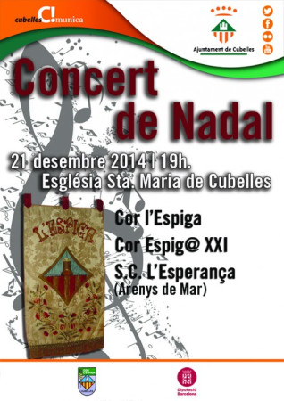 Concert de Nadal 2014