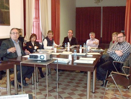 Consell alcaldies web