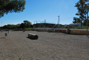 Correcan
