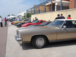 Corvettes