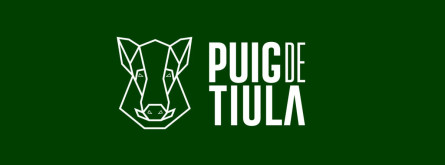 Cursa Puig de Tiula.jpg