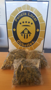 Imatge dels cabdells de marihuana decomissats