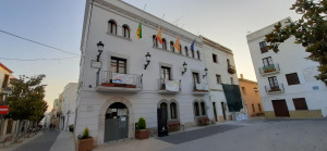 Dol oficial COVID19