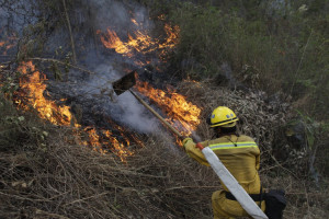 Prohibició foc forestal incendi