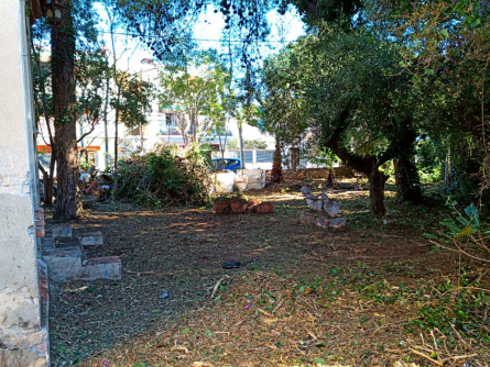 Interior del jardí de la Fundació Estapé