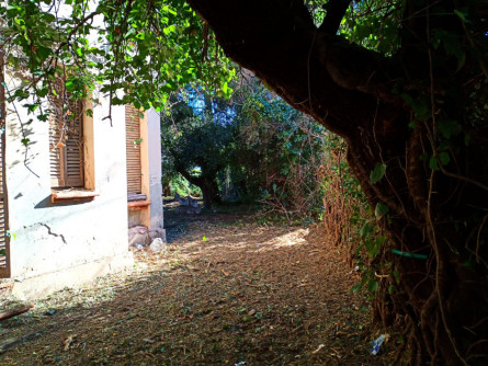Neteja del jardí de la Fundació Estapé