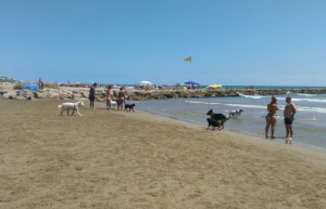 Imatges de la platja l'estiu de 2016