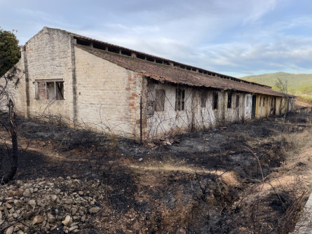 Incendi Corral d'en Cona