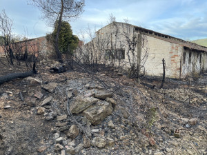Incendi Corral d'en Cona