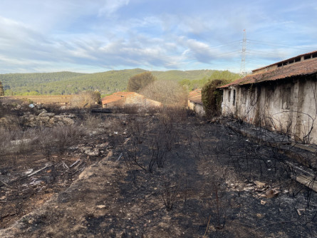 Incendi Corral d'en Cona