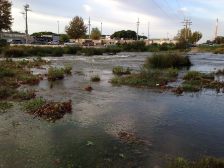 L'aigua baixa amb més d'un metre de fondària