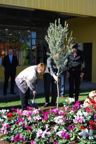 Inauguracio jardiland web